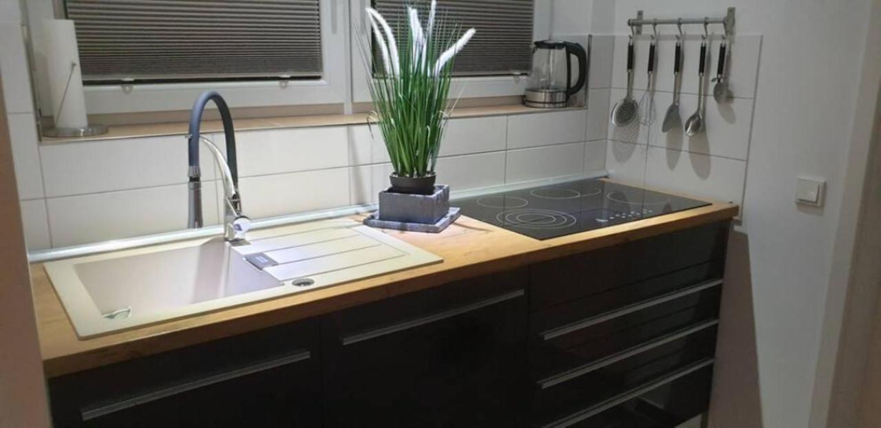 Schicke Ferienwohnung Mit Harzblick Fuer 1-2 Oder 1-4 Personen กอสลาร์ ภายนอก รูปภาพ